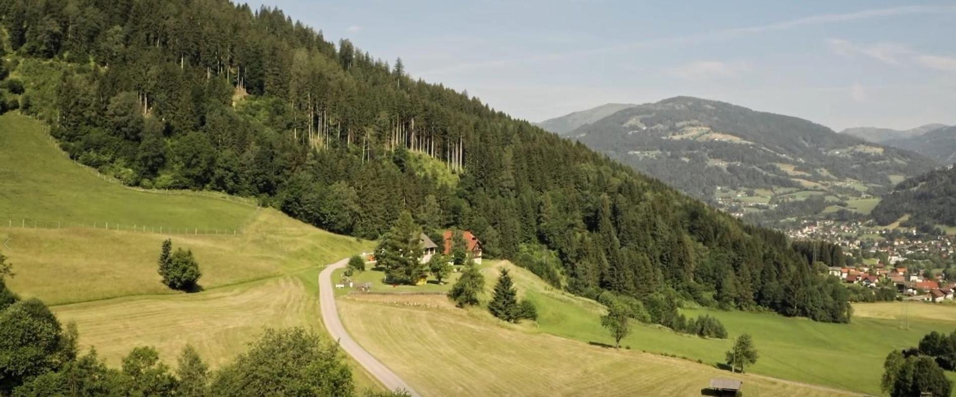 Gasthof Thurnerhof Untertweng Εξωτερικό φωτογραφία
