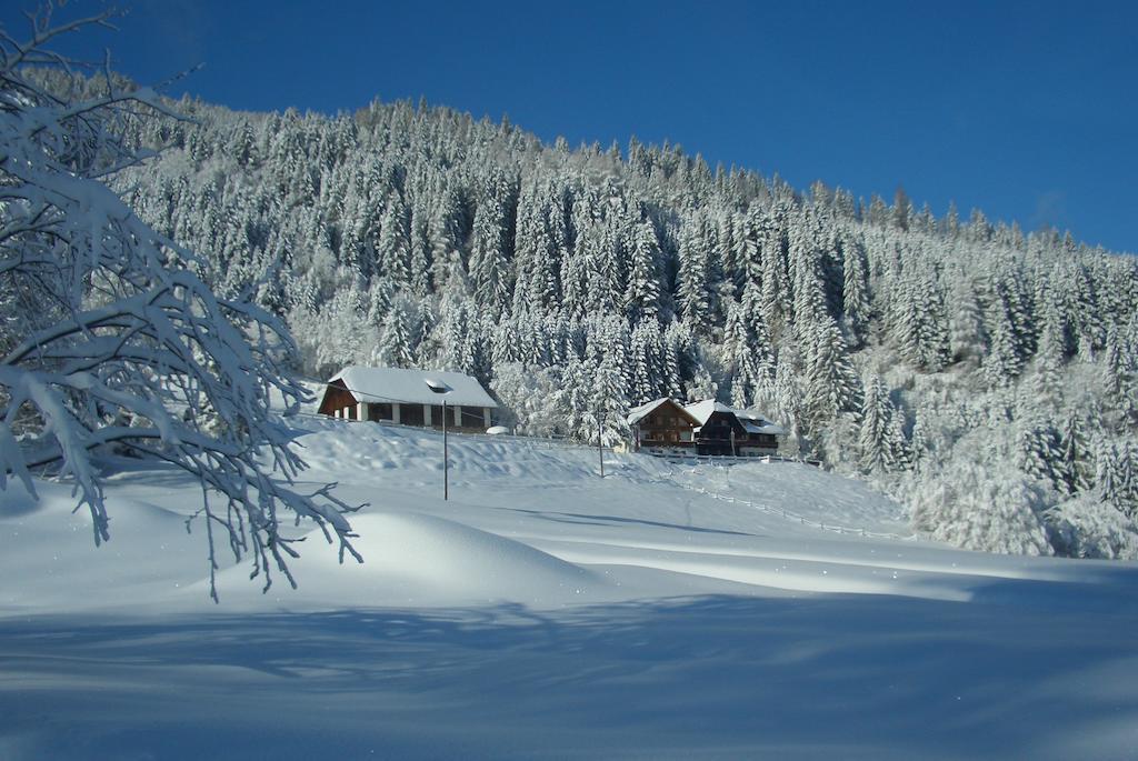 Gasthof Thurnerhof Untertweng Εξωτερικό φωτογραφία